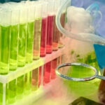 Пунш бар в Сочи и на Юге России cropped-2d7f4449-4efc-4abf-99b7-da558508bae0.jpeg