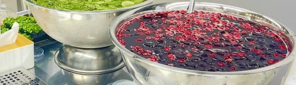 Пунш бар в Сочи и на Юге России